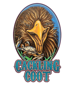 Cackling Coot