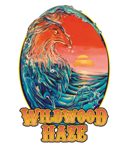 Wildwood Haze